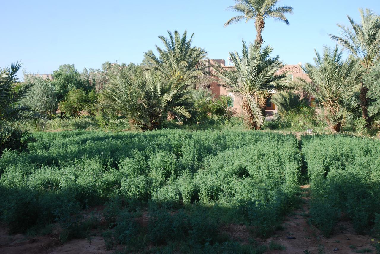 D'Hote Jnane-Dar Diafa Tamgrout Buitenkant foto