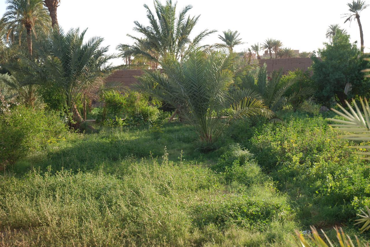 D'Hote Jnane-Dar Diafa Tamgrout Buitenkant foto